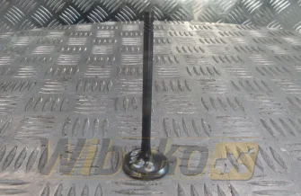 Zawór ssący D= 33 mm do silnika Caterpillar C6.6 