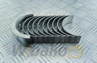 Panewki główne 0.50 Kolbenschmidt 77800620