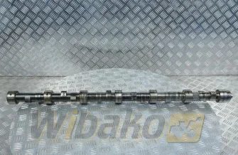 Wałek rozrządu M20 Liebherr 9882651