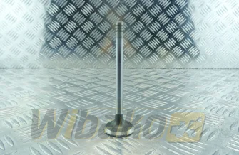 Zawór wydechowy TRW BF4M2012 / BF6M2012 22323