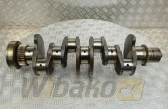 Wał korbowy Cummins 5289840