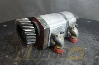 Pompa zębata Caproni 20C8.2X095 1517222737