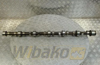 Wałek rozrządu do silnika Volvo TD103 8194480