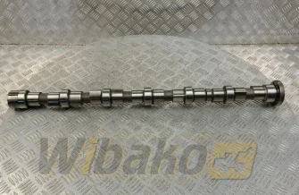 Wałek rozrządu do silnika Cummins QSB6.7 3979506