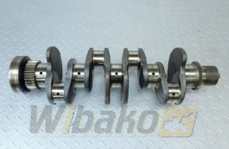 Wał korbowy Cummins 4934251