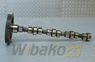 Wałek rozrządu do silnika Cummins 3.9 3968381