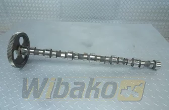 Wałek rozrządu do silnika Cummins 8.3 3924471