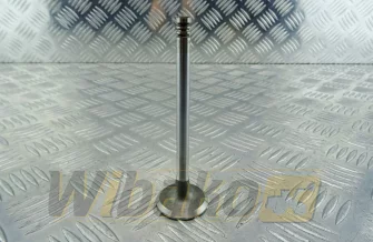 Zawór wydechowy TRW 22305