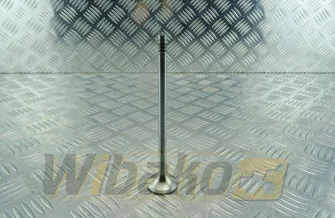 Zawór wydechowy TRW 22301