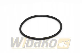 O-ring tulei wbk 10006499