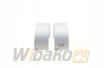 Panewki korbowodowe 0.25 wbk 10140487-025