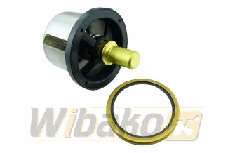 Termostat z uszczelniaczem 82°C wbk 10117576+10043255