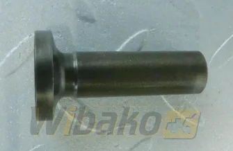 Szklanka popychacza do silnika Cummins B3.3 C6204412110