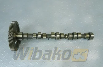 Wałek rozrządu do silnika Cummins 3.9 3925582