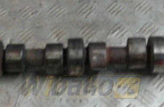 Wałek rozrządu Cummins 4893202