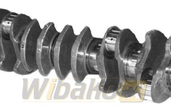 Wał korbowy do silnika Deutz BF6M1013 04202150RG