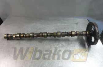Wałek rozrządu do silnika Cummins 8.3 3924471-2