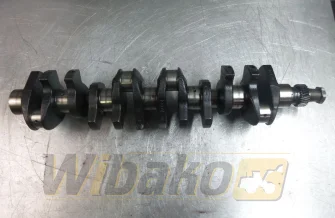 Wał korbowy VM Motori 27B/4 2074G
