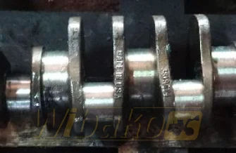 Wał korbowy do silnika Cummins LT10 3819624