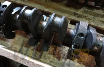 Wał korbowy Deutz BF6L913 