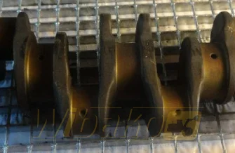 Wał korbowy do silnika Caterpillar 3114 7W9944